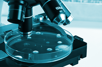 Фармацевтика – 2024 год — 